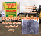 Litevské rašeliny nejvyšší kvality za příznivé cen