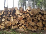 Prodej palivového dřeva smrk 2-4m