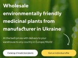 Prodej léčivých rostlin ve velkém od výrobce